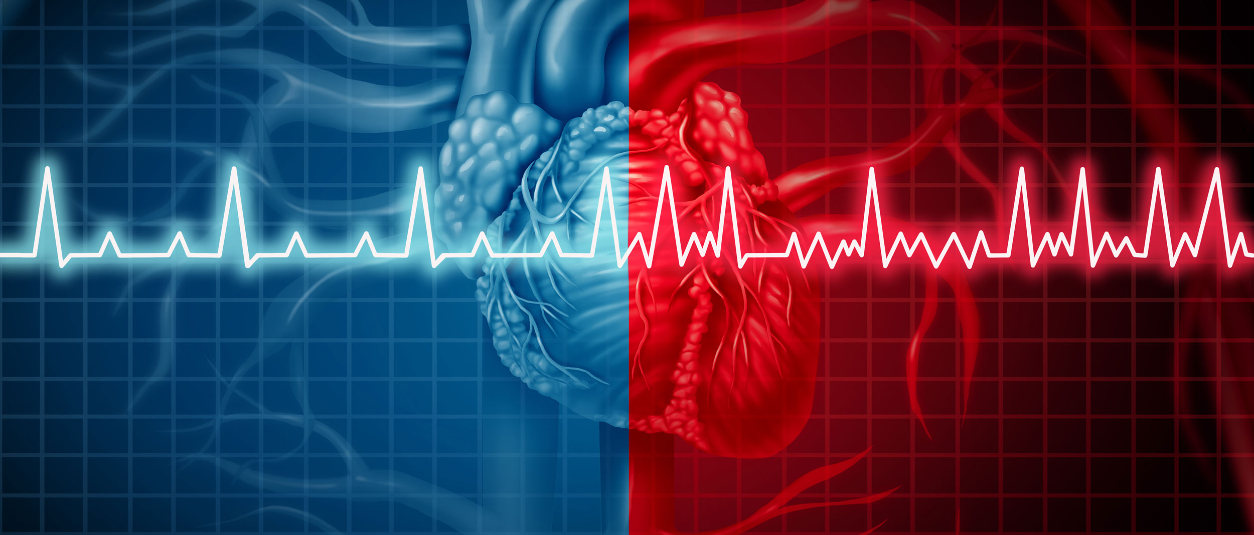 Graph showing heart and heart beat chart Graph showing heart and heart beat chart