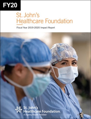 Cover for the Annual Report for FY20