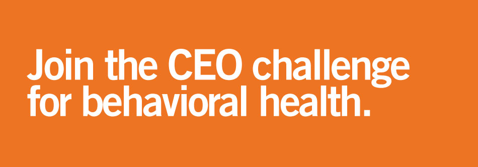 CEO Challenge Donation page banner